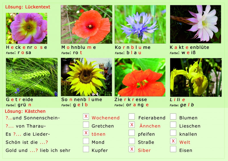 XXL- Rätselblock Sommerträume