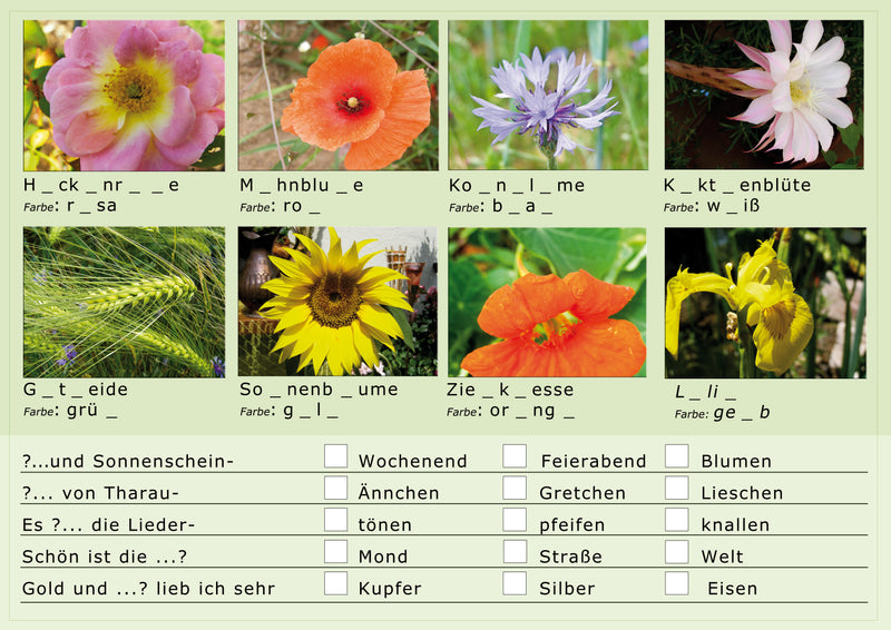 XXL- Rätselblock Sommerträume